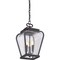 Quoizel Province Outdoor Hanging Lantern PRV1909K - alternate 3